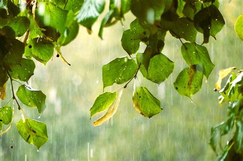 下大雨圖|超过 70000 张关于“大雨”和“雨”的免费图片